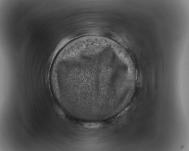X0000085240099200703301756