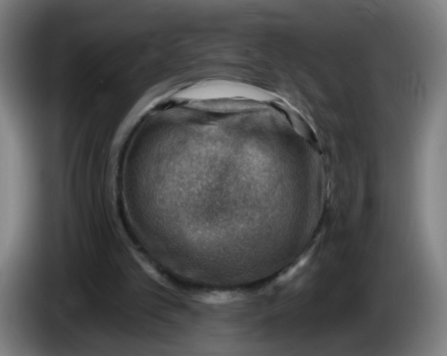 X0000085240101200703301756