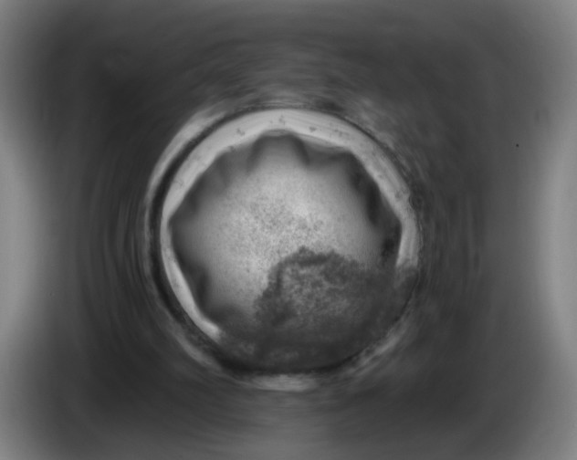 X0000085240102200703301756