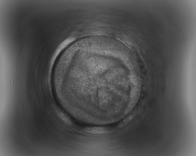 X0000085240104200703301756