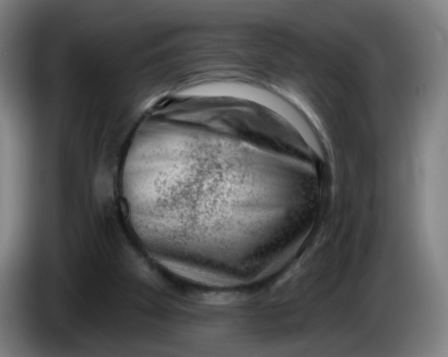 X0000085240105200703301756