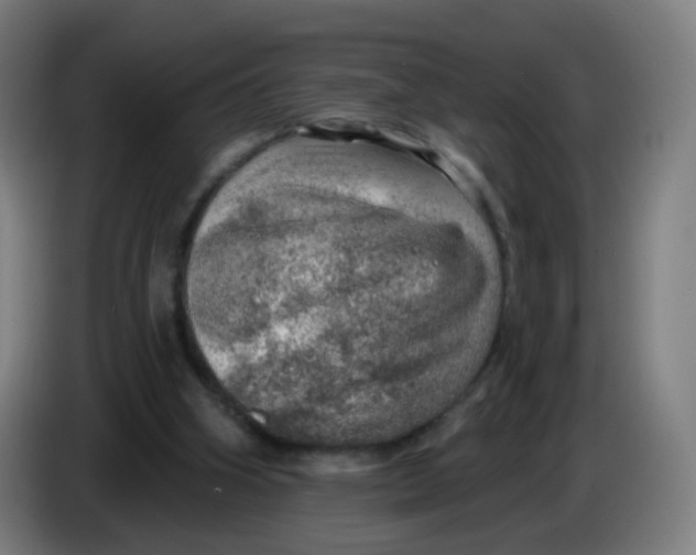 X0000085240106200703301756