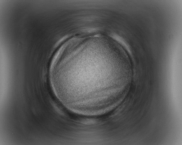 X0000085240107200703301756