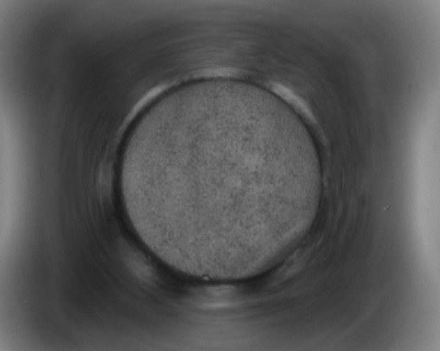 X0000085240108200703301756