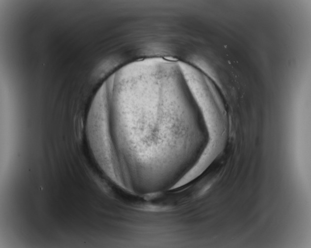 X0000085240109200703301756