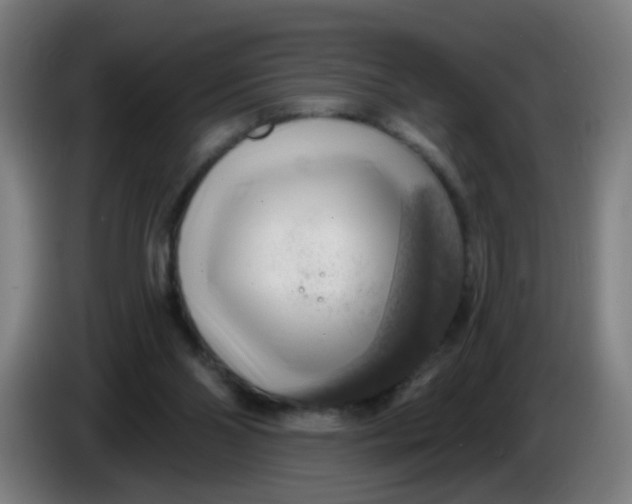 X0000085240110200703301756