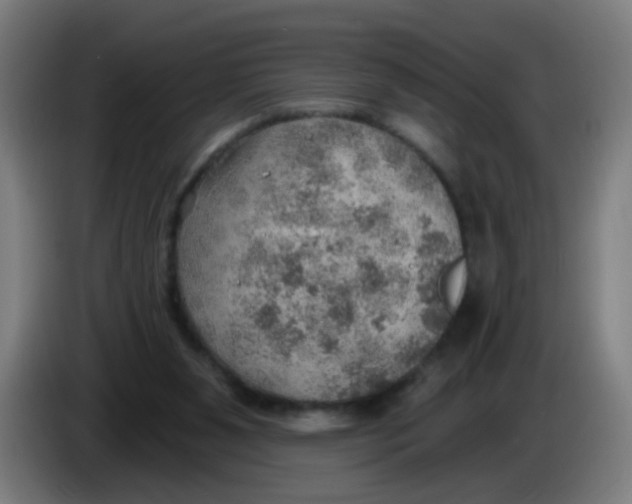 X0000085240111200703301756