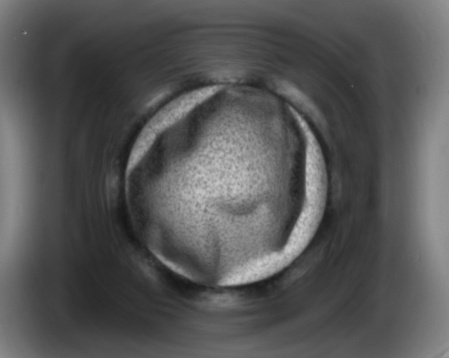 X0000085240113200703301756