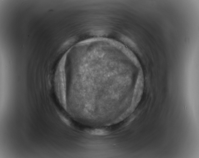 X0000085240114200703301756