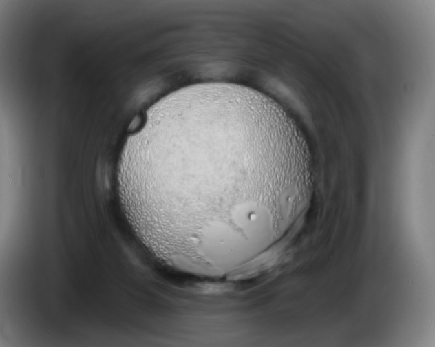 X0000085240115200703301756