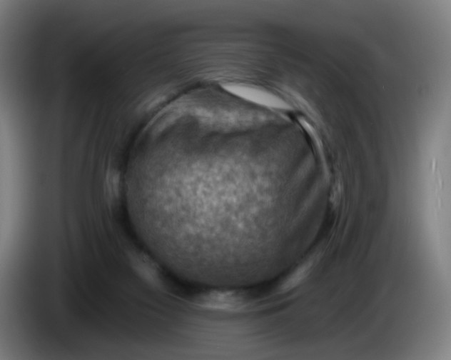 X0000085240117200703301756
