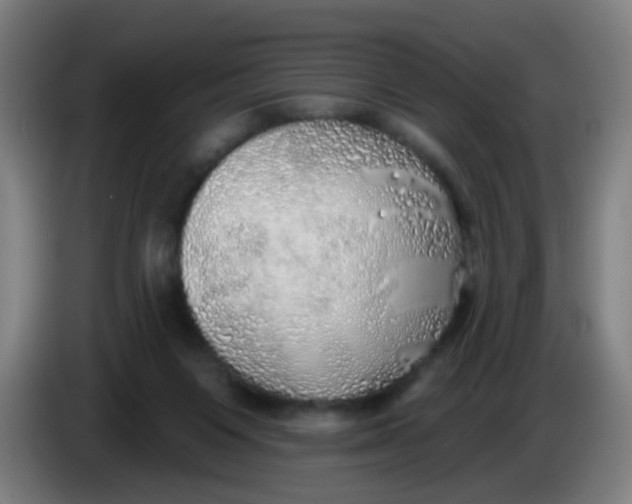 X0000085240119200703301756