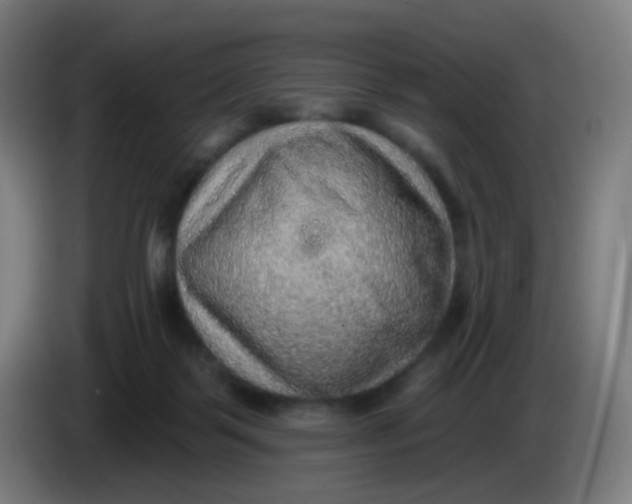 X0000085240123200703301756