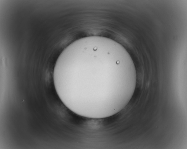 X0000085240126200703301756