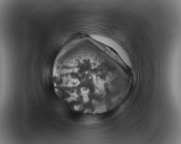 X0000085240127200703301756