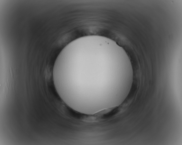 X0000085240129200703301756