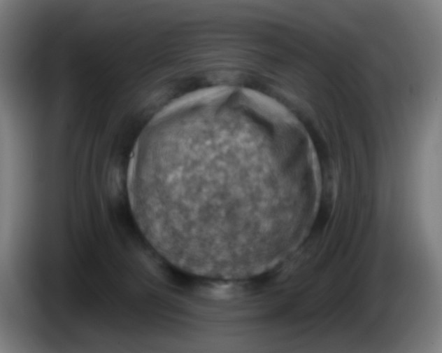 X0000085240130200703301756
