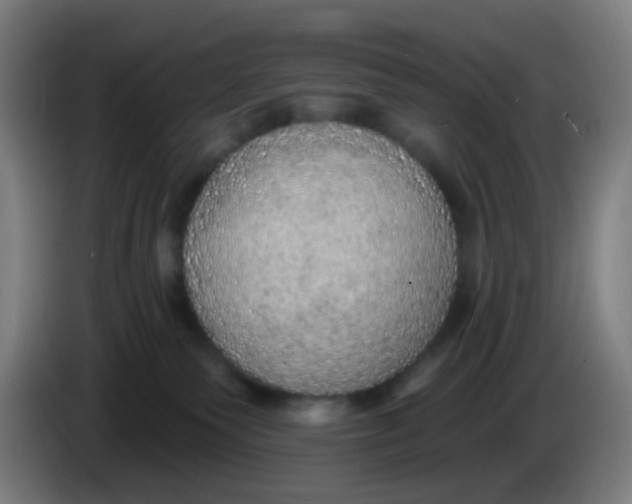 X0000085240135200703301756