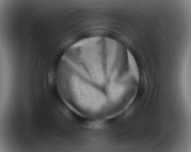 X0000085240138200703301756