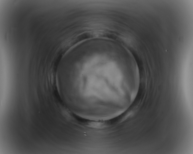 X0000085240139200703301756