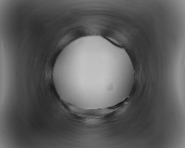 X0000085240141200703301756