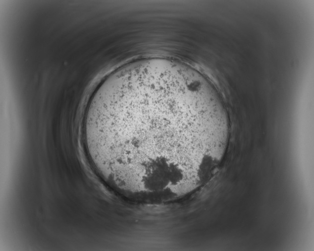 X0000085240145200703301755