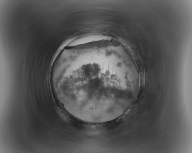 X0000085240147200703301755