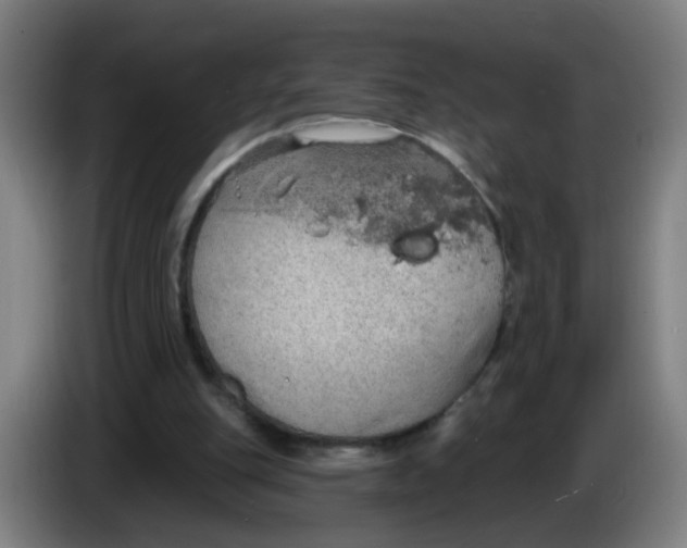 X0000085240151200703301755