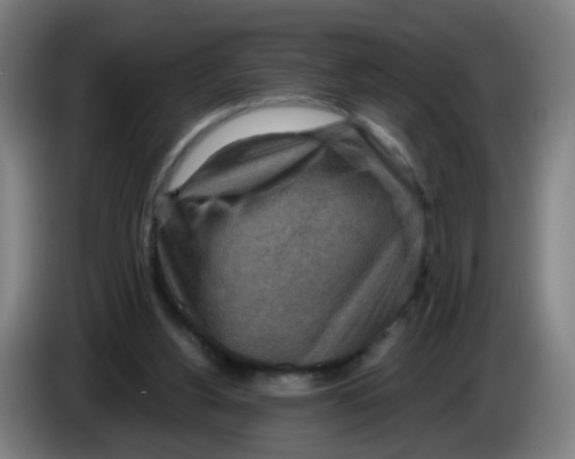X0000085240156200703301755