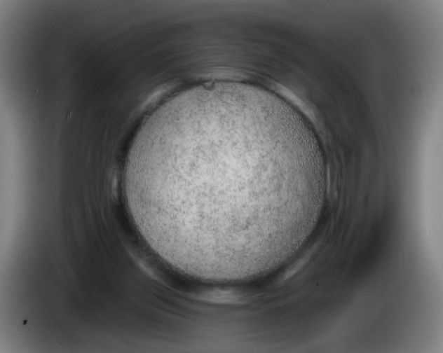 X0000085240157200703301755