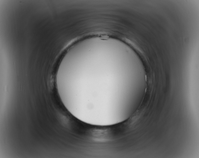 X0000085240160200703301755