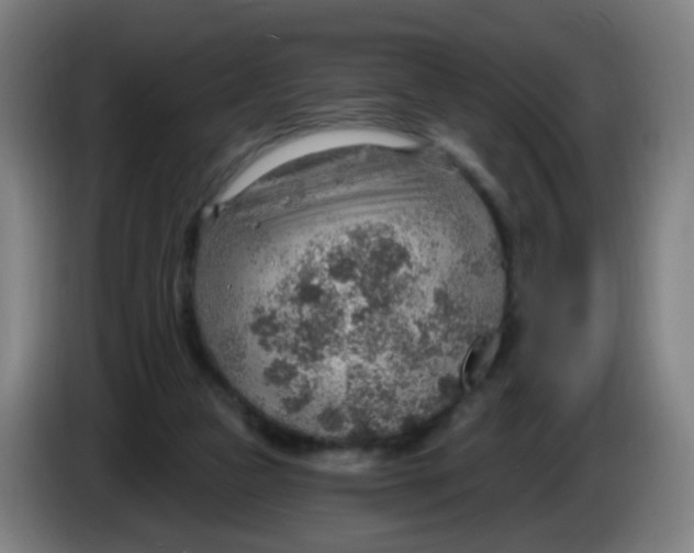 X0000085240161200703301755