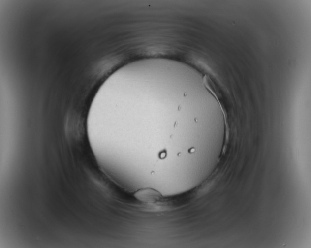 X0000085240164200703301755