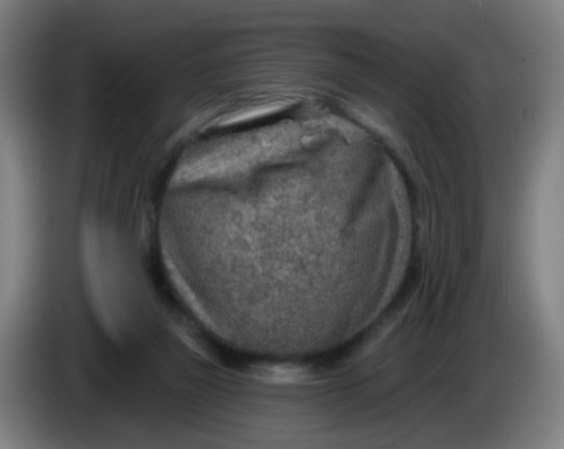 X0000085240165200703301755