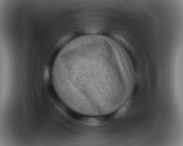 X0000085240166200703301755