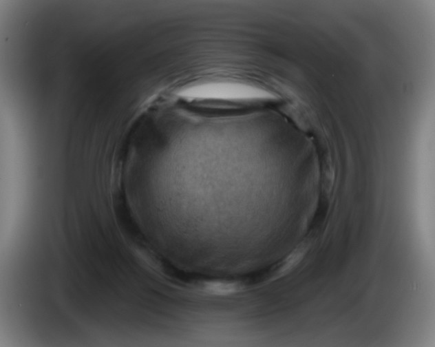 X0000085240168200703301755
