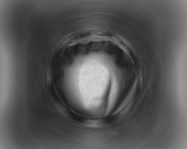 X0000085240170200703301755