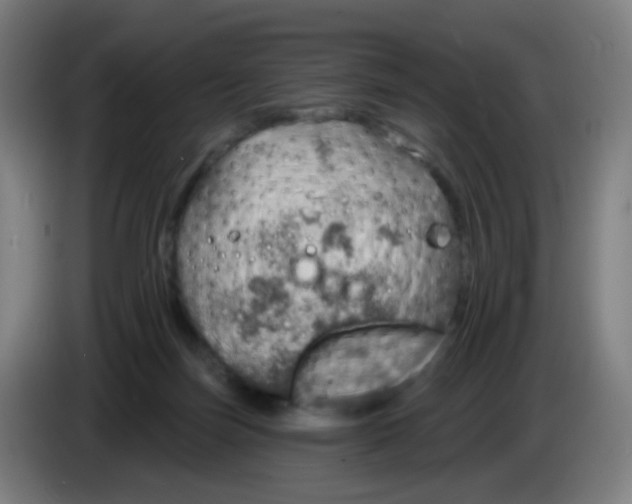 X0000085240171200703301755