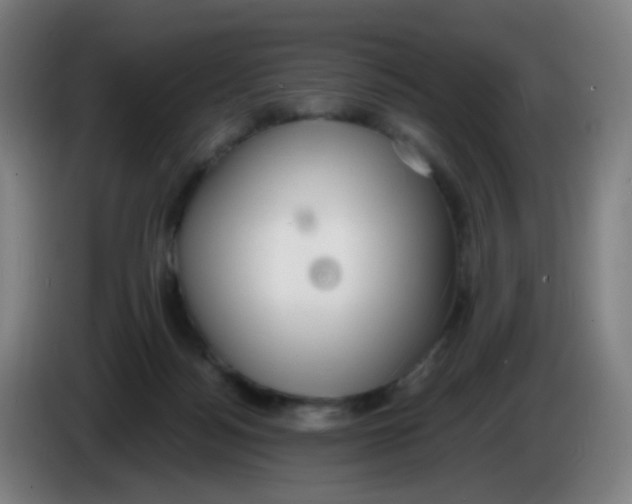 X0000085240172200703301755