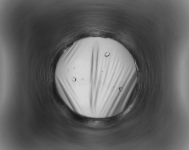 X0000085240174200703301755