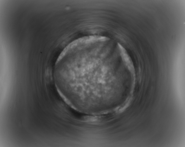X0000085240182200703301755