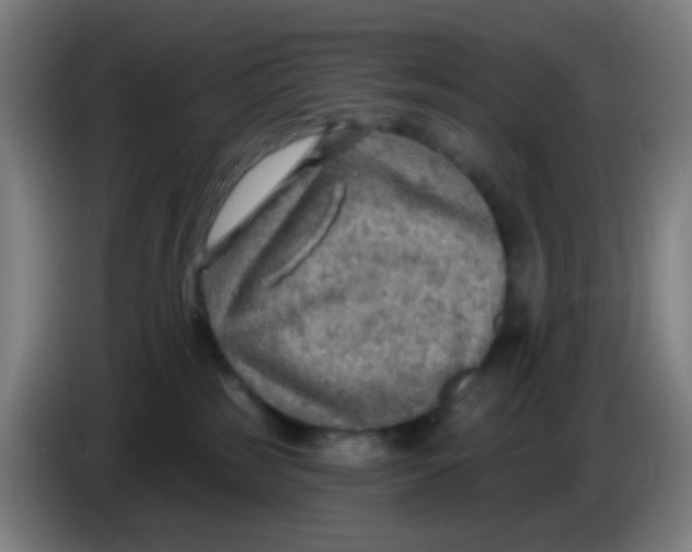 X0000085240185200703301755