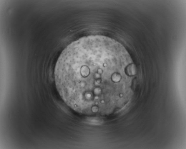 X0000085240187200703301755