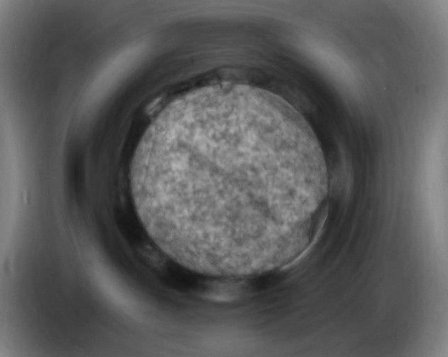 X0000085240191200703301755