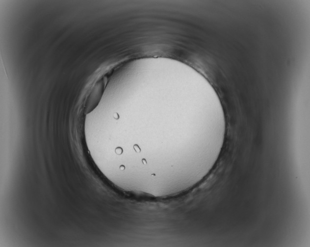 X0000085240193200703301755