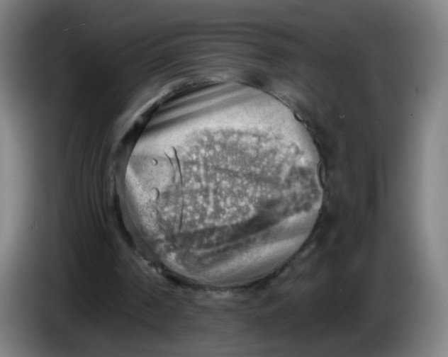 X0000085240194200703301755