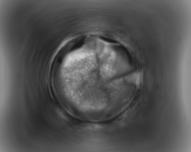 X0000085240195200703301755