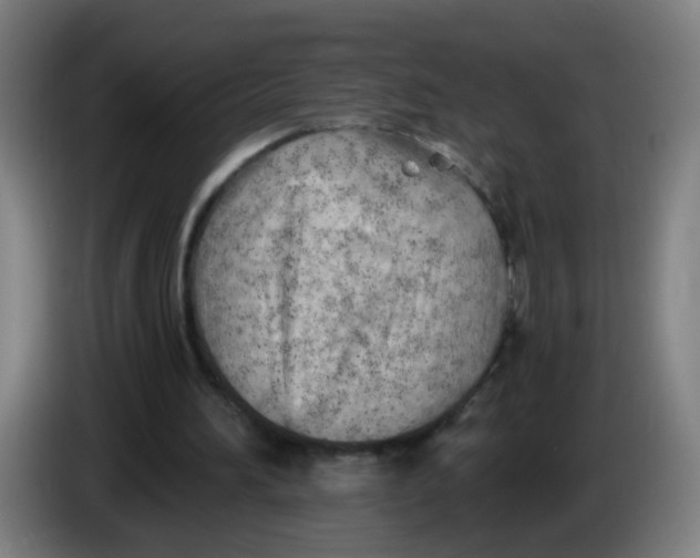 X0000085240196200703301755