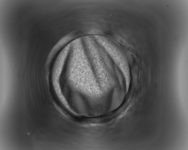 X0000085240197200703301755