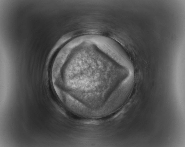 X0000085240198200703301755